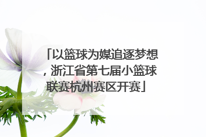 以篮球为媒追逐梦想，浙江省第七届小篮球联赛杭州赛区开赛