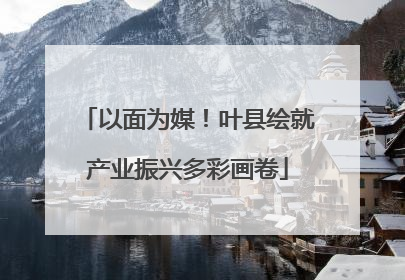 以面为媒！叶县绘就产业振兴多彩画卷