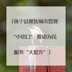 休宁县聚焦城市管理“小切口” 推动为民服务“大提升”