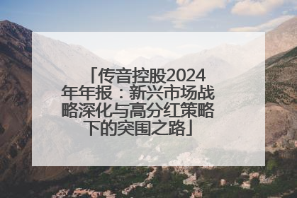 传音控股2024年年报：新兴市场战略深化与高分红策略下的突围之路