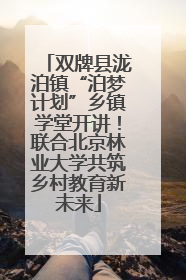 双牌县泷泊镇“泊梦计划”乡镇学堂开讲！联合北京林业大学共筑乡村教育新未来