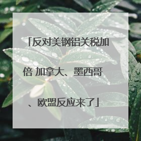 反对美钢铝关税加倍 加拿大、墨西哥、欧盟反应来了