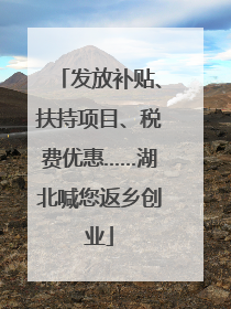 发放补贴、扶持项目、税费优惠……湖北喊您返乡创业