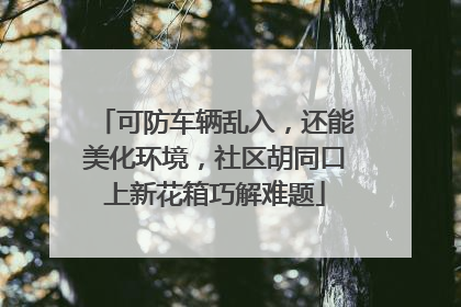 可防车辆乱入，还能美化环境，社区胡同口上新花箱巧解难题