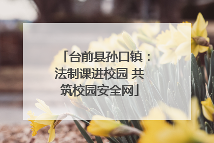 台前县孙口镇：法制课进校园 共筑校园安全网