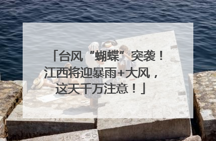 台风“蝴蝶”突袭！江西将迎暴雨+大风，这天千万注意！