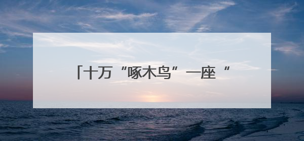 十万“啄木鸟”一座“文明城”，“爱泰安随手拍”点亮城市文明之光