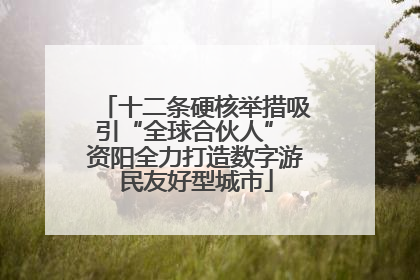 十二条硬核举措吸引“全球合伙人” 资阳全力打造数字游民友好型城市