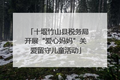 十堰竹山县税务局开展“爱心妈妈”关爱留守儿童活动