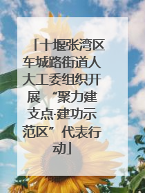 十堰张湾区车城路街道人大工委组织开展 “聚力建支点·建功示范区”代表行动
