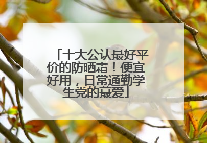 十大公认最好平价的防晒霜！便宜好用，日常通勤学生党的蕞爱
