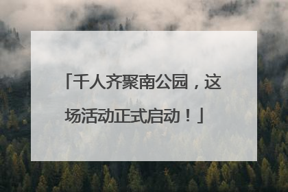 千人齐聚南公园，这场活动正式启动！