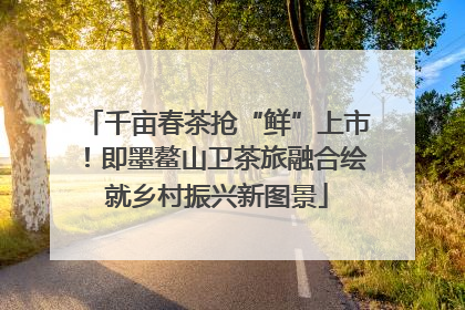 千亩春茶抢“鲜”上市！即墨鳌山卫茶旅融合绘就乡村振兴新图景