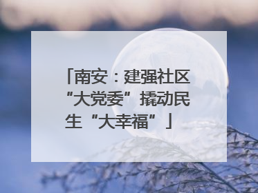 南安：建强社区“大党委”撬动民生“大幸福”