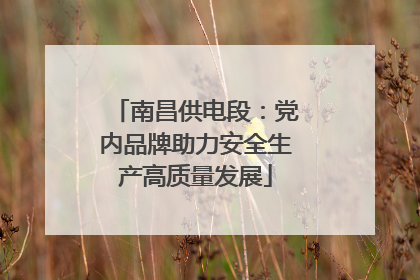 南昌供电段：党内品牌助力安全生产高质量发展
