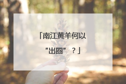 南江黄羊何以“出圈”？