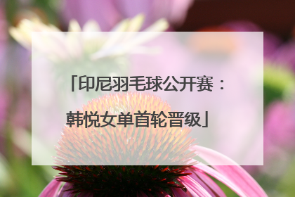 印尼羽毛球公开赛：韩悦女单首轮晋级