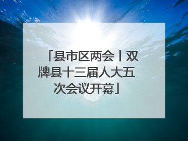 县市区两会丨双牌县十三届人大五次会议开幕