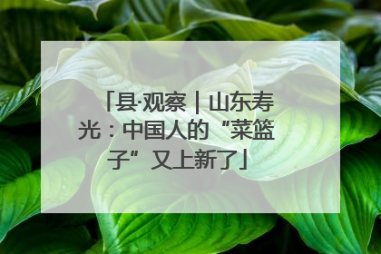 县·观察｜山东寿光：中国人的“菜篮子”又上新了