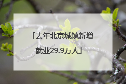 去年北京城镇新增就业29.9万人