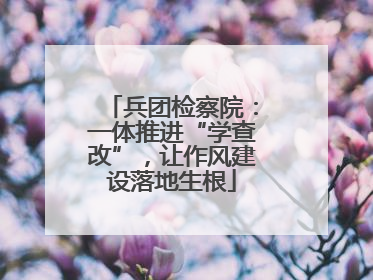 兵团检察院：一体推进“学查改”，让作风建设落地生根