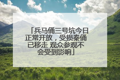 兵马俑三号坑今日正常开放，受损秦俑已移走 观众参观不会受到影响