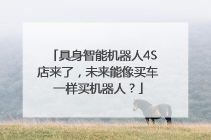 具身智能机器人4S店来了，未来能像买车一样买机器人？