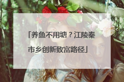 养鱼不用塘？江陵秦市乡创新致富路径