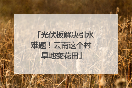 光伏板解决引水难题！云南这个村旱地变花田