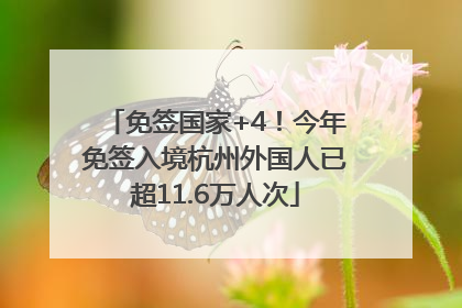 免签国家+4！今年免签入境杭州外国人已超11.6万人次