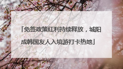 免签政策红利持续释放，城阳成韩国友人入境游打卡热地