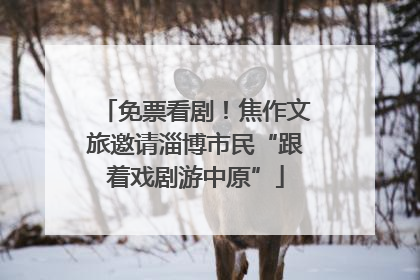 免票看剧！焦作文旅邀请淄博市民“跟着戏剧游中原”