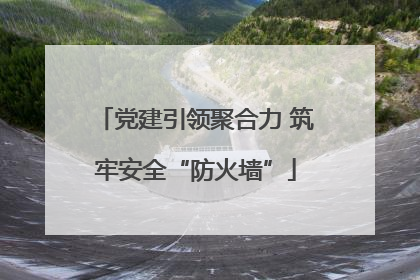 党建引领聚合力 筑牢安全“防火墙”