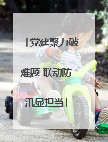 党建聚力破难题 联动防汛显担当