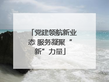 党建领航新业态 服务凝聚“新”力量