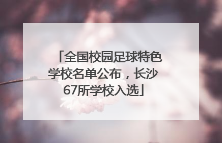 全国校园足球特色学校名单公布，长沙67所学校入选