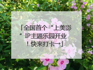 全国首个“上美影”IP主题乐园开业！快来打卡→