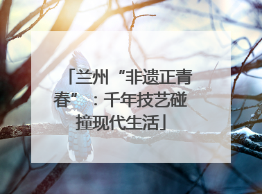 兰州“非遗正青春”：千年技艺碰撞现代生活