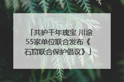 共护千年瑰宝 川渝55家单位联合发布《石窟联合保护倡议》