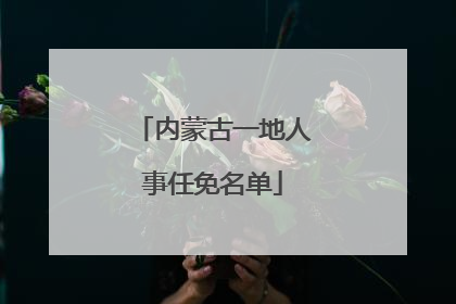 内蒙古一地人事任免名单