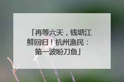 再等六天，钱塘江鲜回归！杭州渔民：第一波盼刀鱼