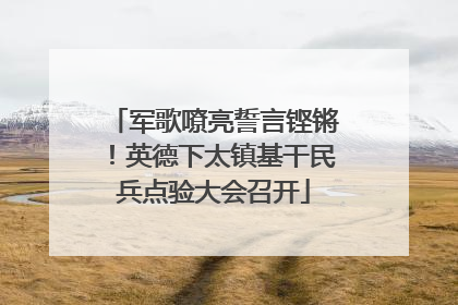 军歌嘹亮誓言铿锵！英德下太镇基干民兵点验大会召开