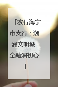 农行海宁市支行：潮涌文明城 金融润初心