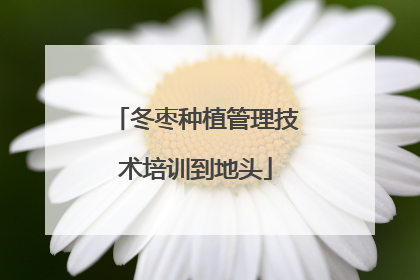 冬枣种植管理技术培训到地头