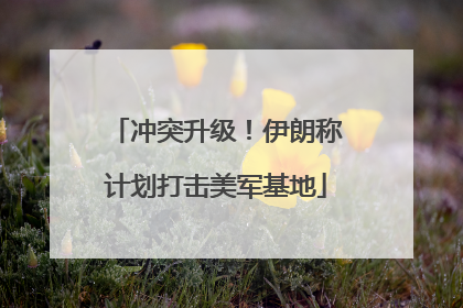 冲突升级！伊朗称计划打击美军基地