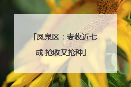 凤泉区：麦收近七成 抢收又抢种