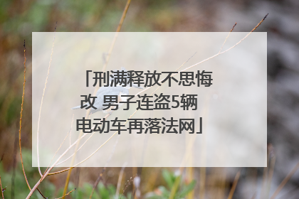 刑满释放不思悔改 男子连盗5辆电动车再落法网
