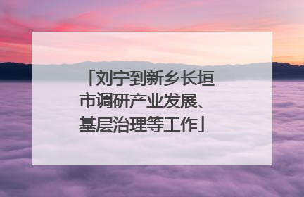 刘宁到新乡长垣市调研产业发展、基层治理等工作