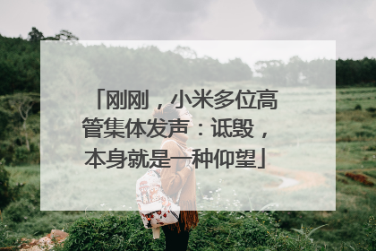 刚刚，小米多位高管集体发声：诋毁，本身就是一种仰望