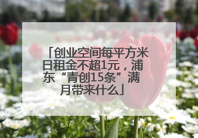 创业空间每平方米日租金不超1元，浦东“青创15条”满月带来什么